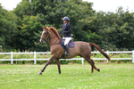 Class 9: Pendarves Equestrian Senior 1.20m Derby portfolio