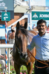 120725-Race 7-Aberama Gold-0659
