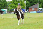 SBM_00986