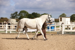 SBM_10365