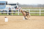 SBM_004326
