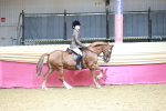 SBM_02197