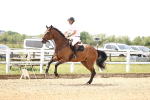 SBM_004469