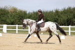 SBM_016839