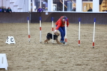 SBM_006090