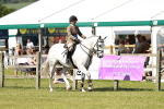 SBM_18515