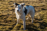 Grisedale-6