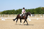 SBM_011645