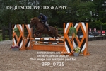 BPP_0735