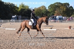 BPP_9383