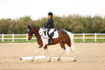 SBM_006915