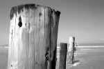Berrow beach _S025