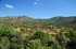 Sierra de Andújar, Andalucia, Spain