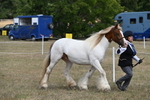 WJ6_6536