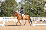SBM_01599