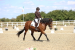 SBM_013966