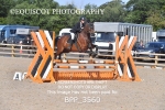 BPP_3560