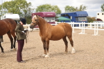 SBM_05027
