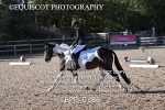 BPP_9186