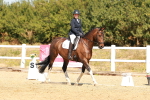 SBM_017907