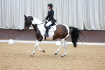 SBM_002995