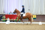 SBM_000441