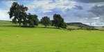 pastures
