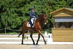 Rider 480 to 489 portfolio