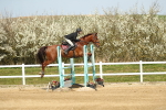 SBM_002711