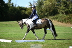 Dressage 10.30 - 11.30am portfolio