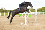 SBM_002665