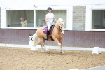 SBM_008352