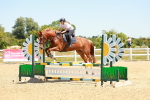 SBM_006207