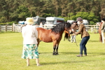 SBM_00508