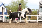 SBM_00371