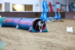 SBM_005462