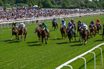 Race 3 14.40pm William Hill Epic Boost Handicap portfolio