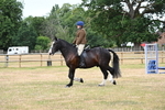 WJ6_3872