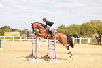 SBM_006590