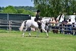 SBM_17384