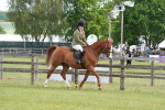 SBM_12917