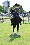 SBM_08133
