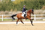 SBM_018668