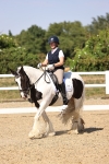 SBM_006564