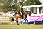 SBM_20244