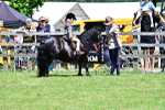 SBM_05870