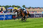230626-Race 3-Tamzan-0688