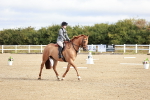 SBM_009082
