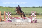 BPP_2229