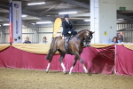 SBM_15020